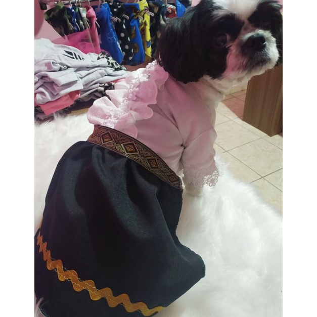 Vestido de Prenda Pet | Shopee Brasil