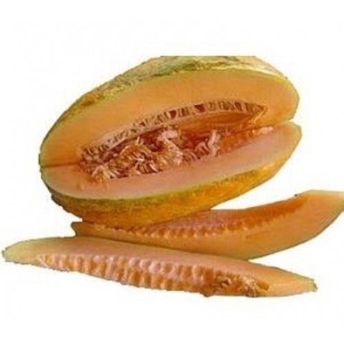 40 Sementes Melão Caipira De em Oferta na Shopee