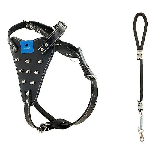 Peitoral em Couro Legítimo Pitbull Rottweiler Retriever Spikes