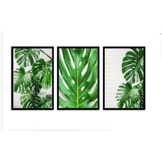 Placas decorativas Costela de Adão e Outras Folhas Verdes Quadro com Borda Preta parede quarto cozinha banheiro escritório sala em Oferta na Shopee