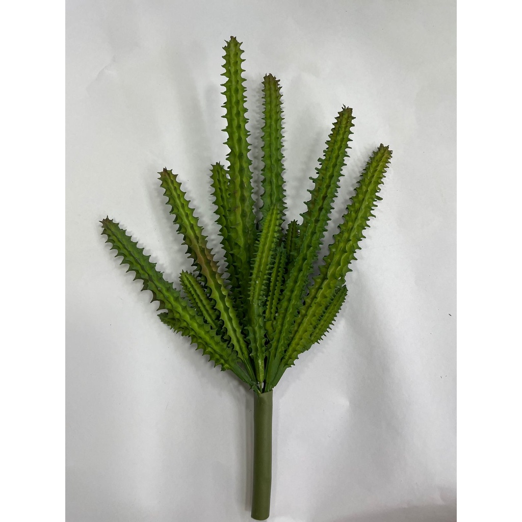 Arranjo para Mesa de Canto: Onde Comprar | BuscaProdutos