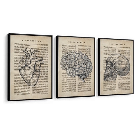 Quadro Medicina 3 peças-20x30 show-dos-quadros