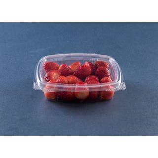 10 Potes Retangular Tampa Articulada Para Doces Frutas Castanhas Galvanotek GA95 em Oferta na Shopee