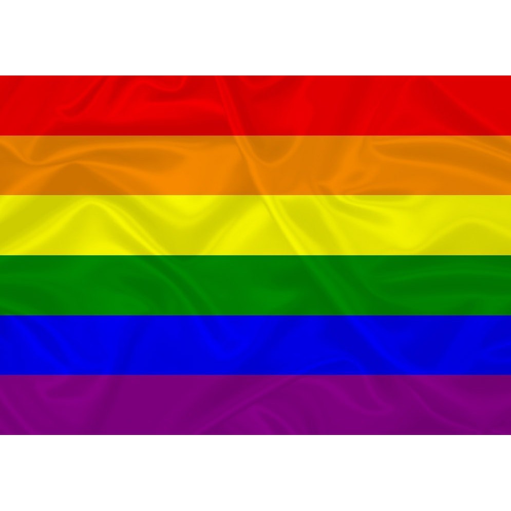 Bandeira Lgbt 150x90 Cm Alta Qualidade Shopee Brasil 