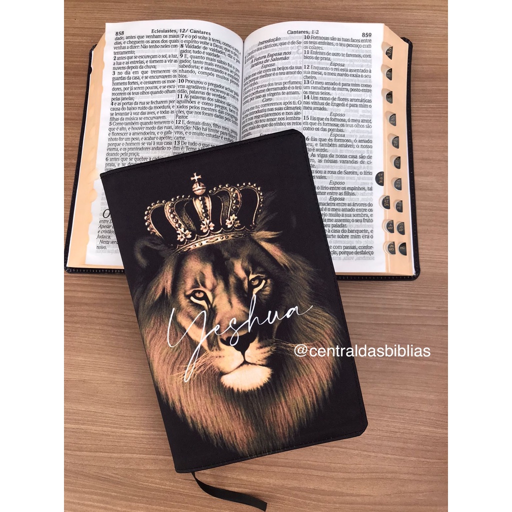 Bíblia sagrada Leão coroa ARC | grande Com Harpa E Índice Letra Hipergigante Capas exclusivas