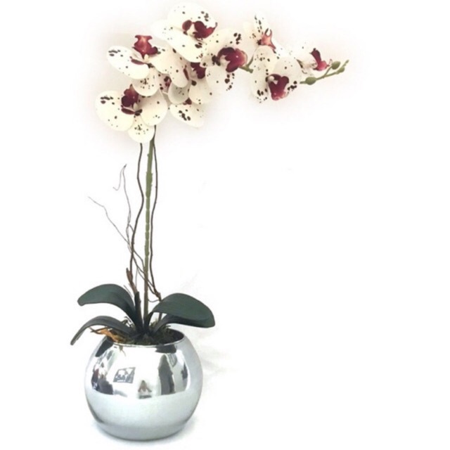 Arranjo Orquídea Phalaenopsis-3 D-Vaso Prata Metalizado | Shopee Brasil