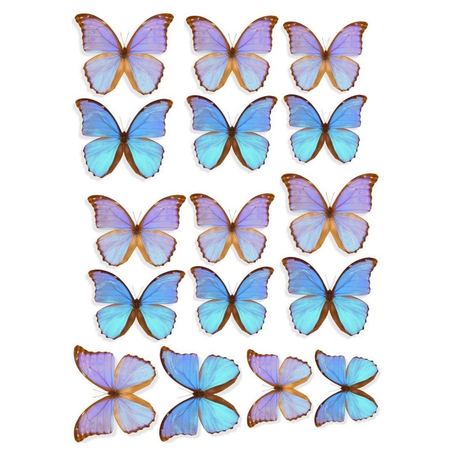 Arquivo Digital Topo de bolo Borboletas lilás azul #1 PDF