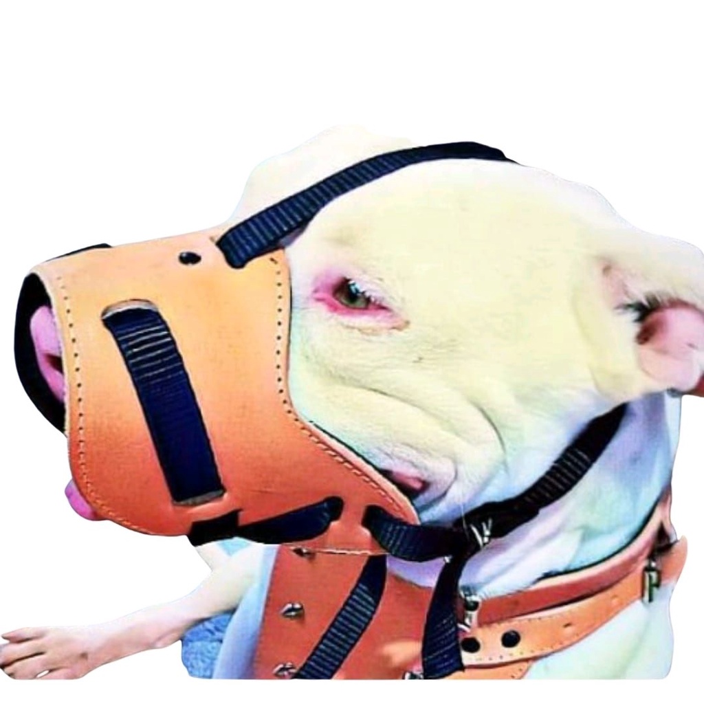 Focinheira Para Cachorro Em Couro Legítimo Para Cães De Médio e Grande Porte regulável e reforçada Pitbull Rottweiller Cane Corso pastor alemão chow chow husky siberiano labrador dálmata american bully pit monster fucinheira akita golden boxer border