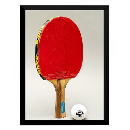 Fotos de Raquetes: Onde Comprar | BuscaProdutos