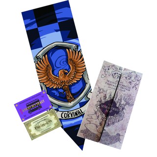 Combo 7 produtos Harry Potter Com 4 Posters Bandeira Casas 