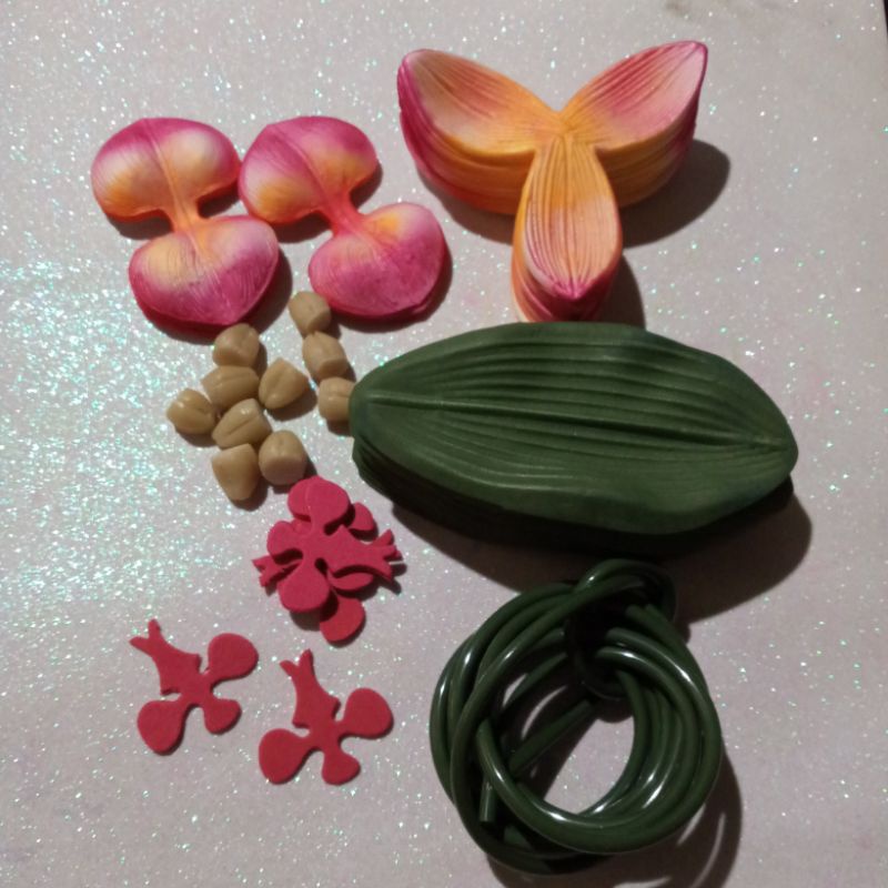 Kit Da Orquídea Phalaenopis Em Eva | Shopee Brasil