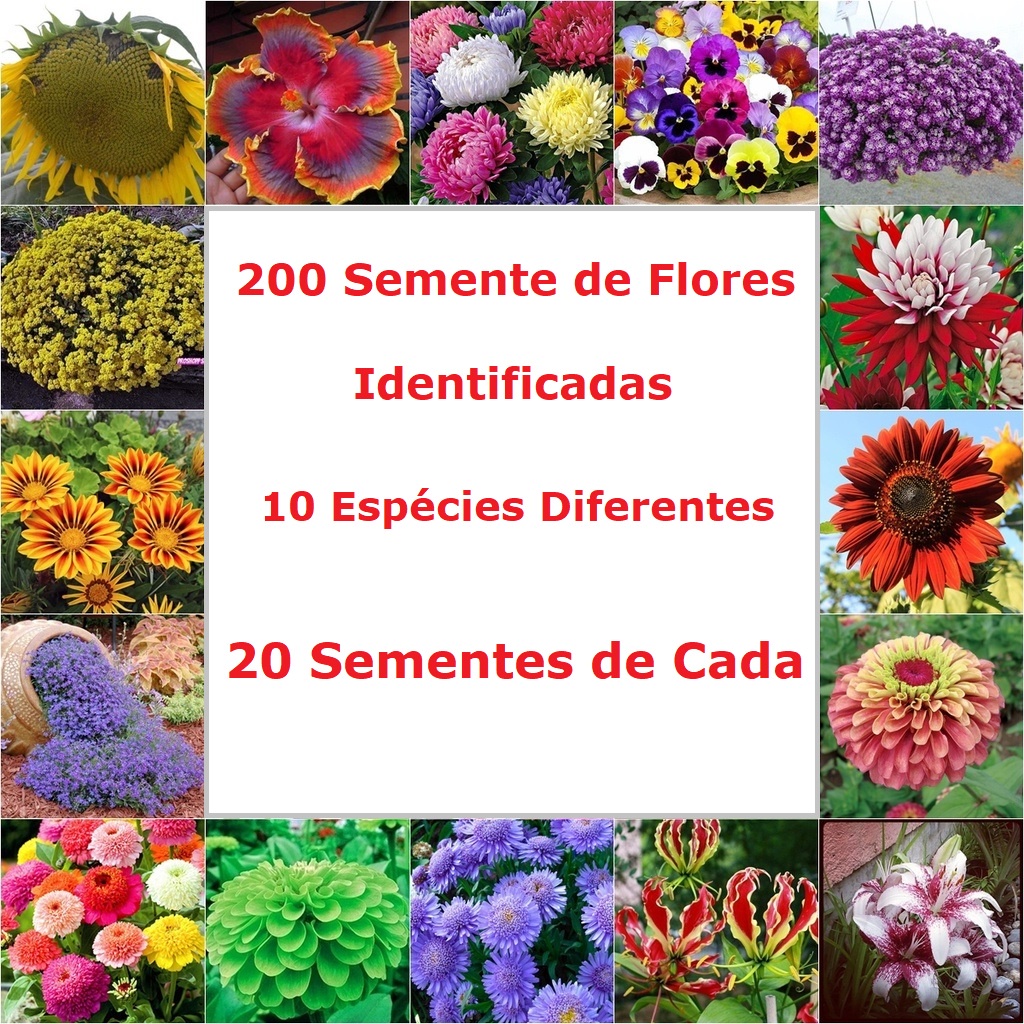 200 Sementes de Flores - Identificadas - 10 Espécies Diferentes