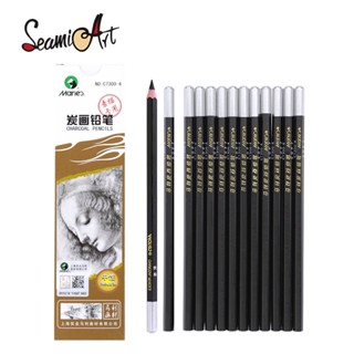12 Pcs Da SeamiArt Marie . Conjunto De Lápis De Carvão Vegetal Preto Para Desenho De Esboço Opções Médias Duros em Oferta na Shopee