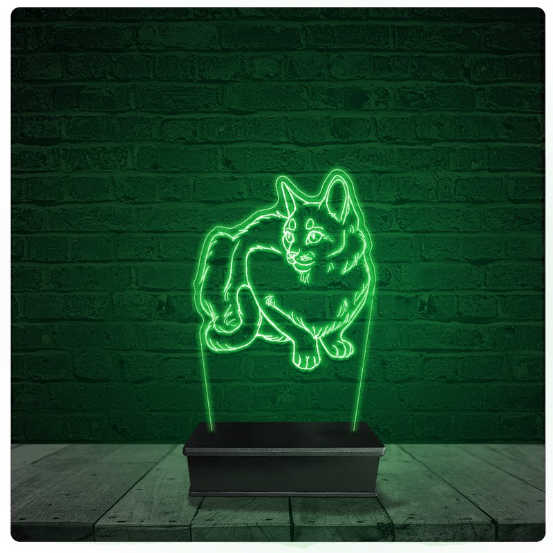 Luminária Abajur Acrílico Led - Gato Pet Shop 23