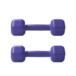 Par de Halter Sextavado 1kg Emborrachado PVC - Roxo ( 02 unidades 01kg cada )