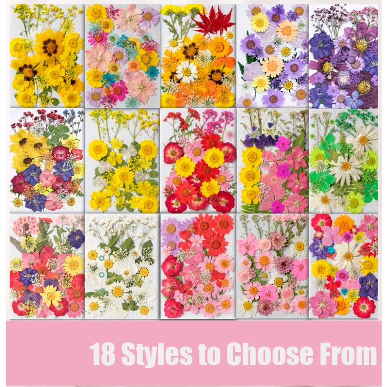 30Pcs Flores Prensadas Secas , Naturais Verdadeiras Coloridas Para Jóias De Resina Arte De Unhas Artesanato DIY