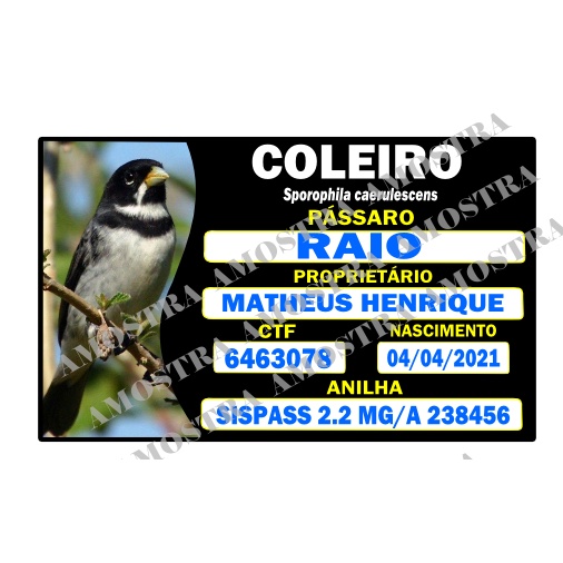 Placa identificação personalizada para gaiola de pássaros todas espécies , clopsita, pintassilgo