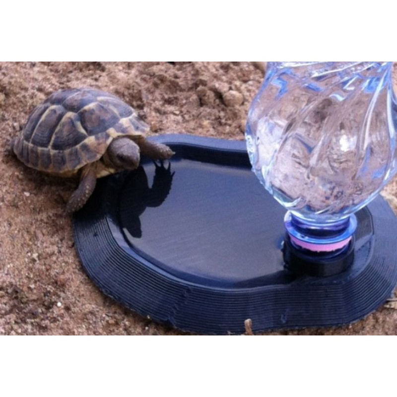 Bebedouro para tartarugas jabutis e outros répteis Gecko Iguana com encaixe para garrafa pet em Oferta na Shopee