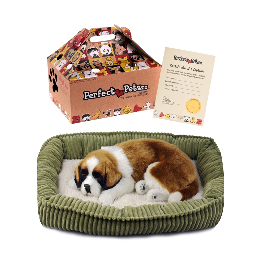 São Bernardo Cachorro Filhote: Onde Comprar | BuscaProdutos