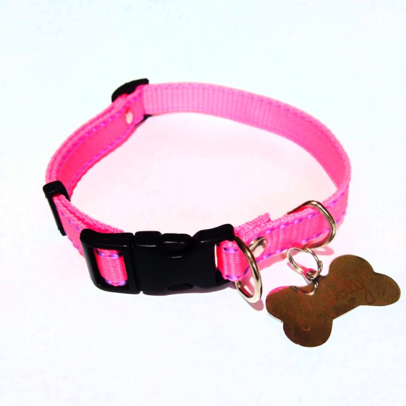 PLAQUINHA IDENTIFICAÇÃO  + Coleira PET COM NOME GRAVADO / rosa/15mm / cachorro. em Oferta na Shopee