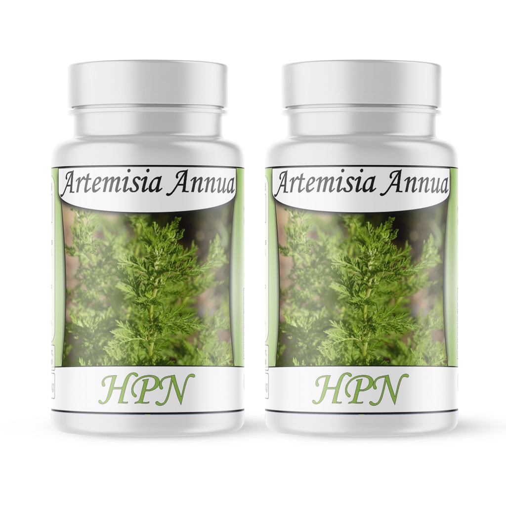 Artemisinina (Artemisia Annua) Losna Verde 120 Cápsulas Erva Medicinal 500mg em Oferta na Shopee