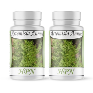 Artemisinina (Artemisia Annua) Losna Verde 120 Cápsulas Erva Medicinal 500mg em Oferta na Shopee