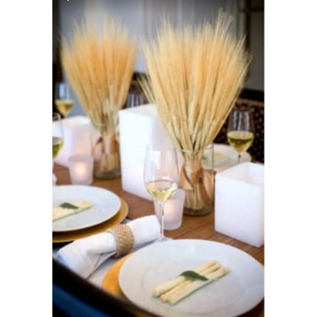 100 Hastes de trigo natural Desidratado Decoração Casamento Mesa 15anos Buque. em Oferta na Shopee
