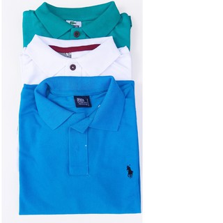 Camiseta gola Polo Masculina Malha Piquet Em Diversas Cores