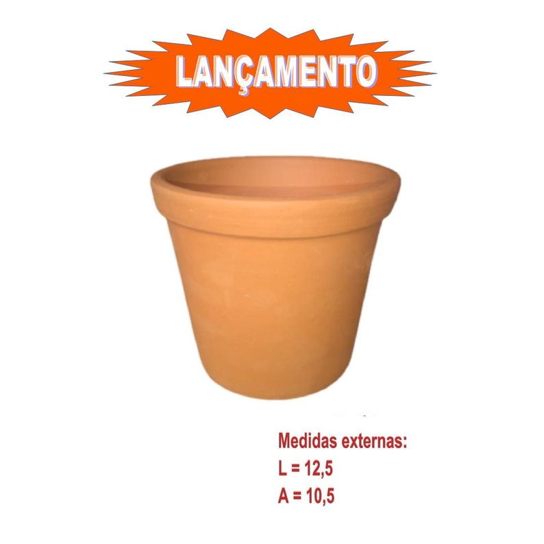 Flor Kalanchoe: Guia Completo e Onde Comprar | BuscaProdutos