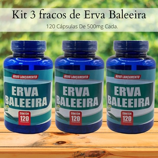 Kit C/3 erva baleira 120 cápsulas 500mg - PRONTA ENTREGA