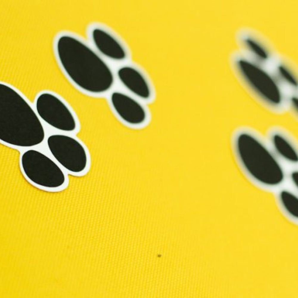 Adesivos Pegada de Coelho Caça aos Ovos de Páscoa - Recortado e Pronto pra Colar #2 em Oferta na Shopee