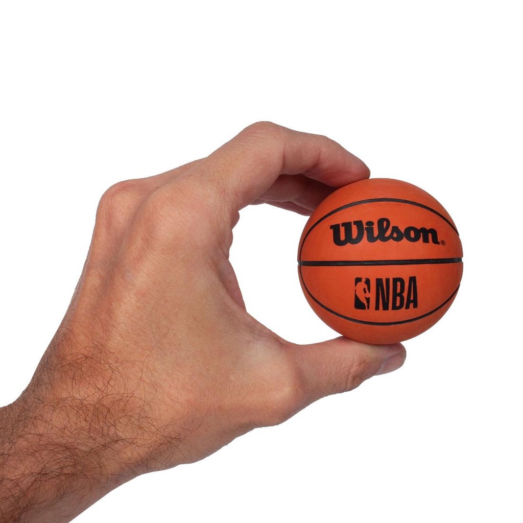 Mini Bola De Basquete Nba Dribbler Wilson Shopee Brasil