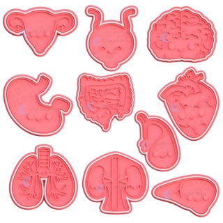 Cortador Corpo Humano Medicina Anatomia Pirulito Biscoito Cookie Pasta Festa Decoração ESCOLHA