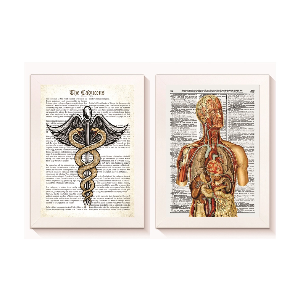 Kit 2 Quadros Decorativos Símbolo de Medicina Corpo Humano Medicina Consultório Moldura 20x30cm Madeira