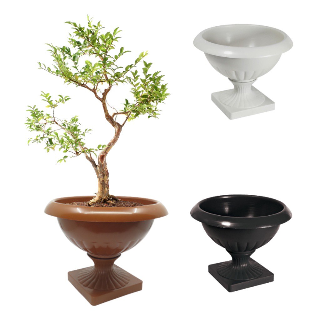 Vaso Decoração / Cachepô  Bacia Taça Baixa - Vaso de Planta Grego Hera