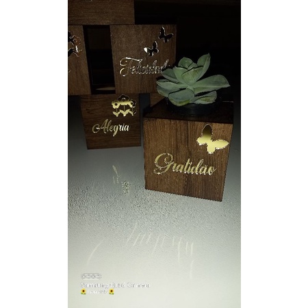 kit 4 cubos em MDF com frases em acrílico para suculenta ( não acompanha planta suculenta) - presente