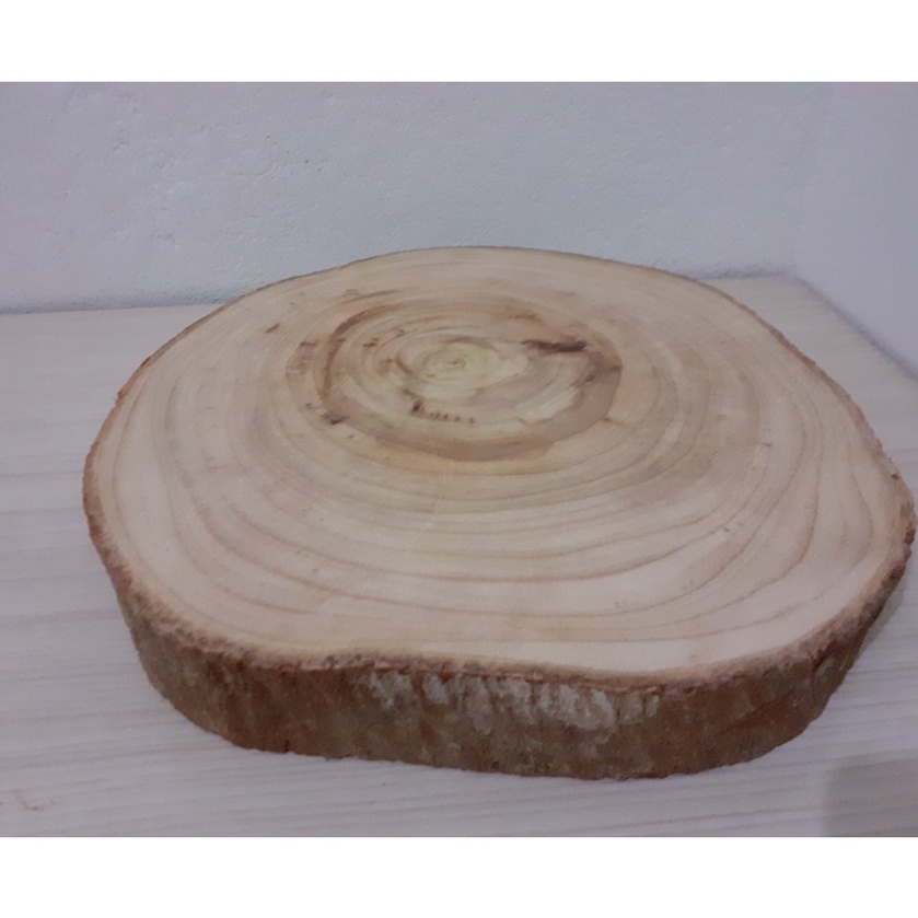 kit com 10 bolachas de madeira de 16cm a 20cm em Oferta na Shopee