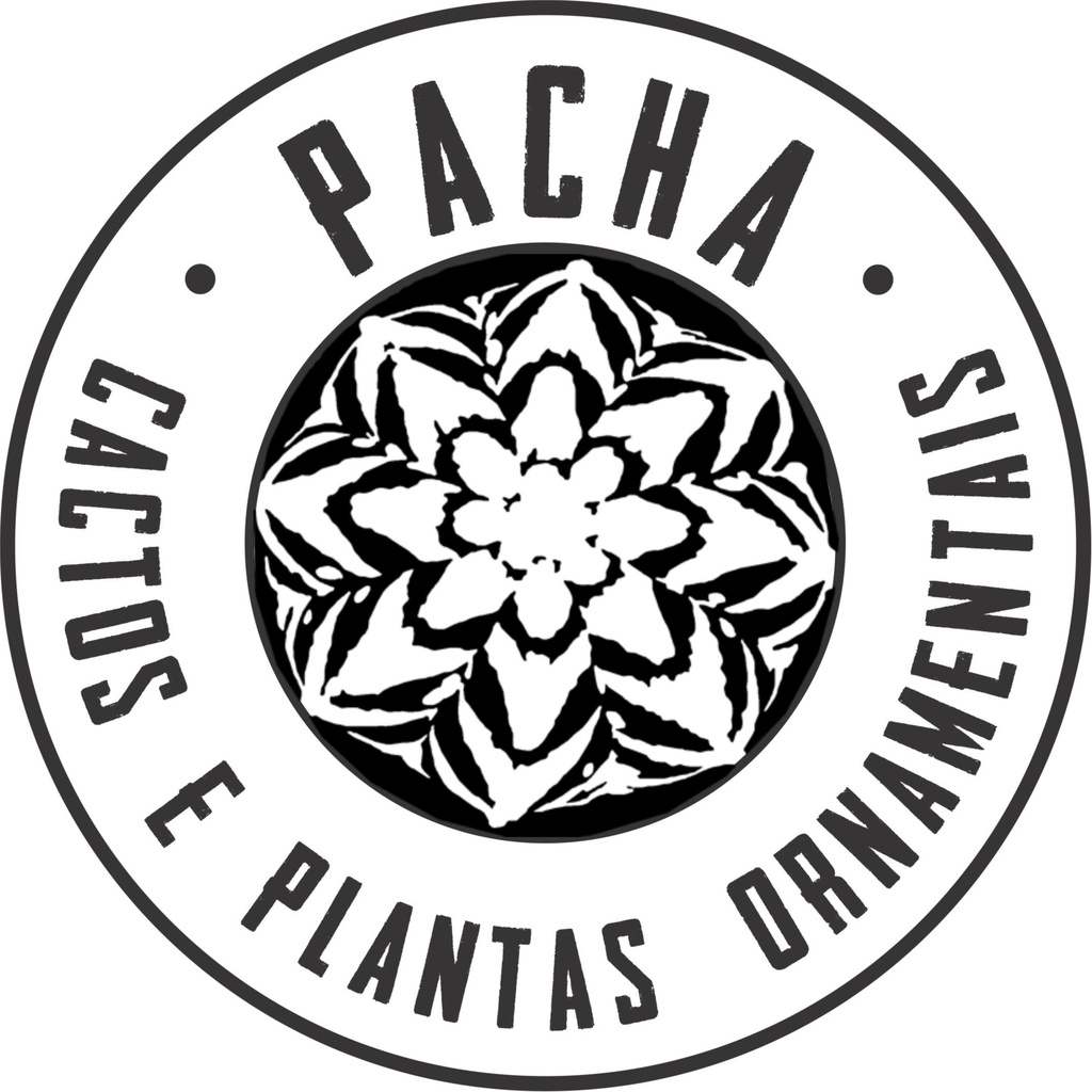 PACHA CACTOS E PLANTAS ORNAMENTAIS