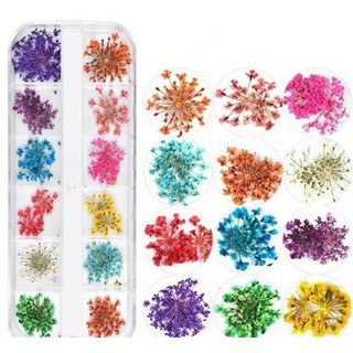 Flores Secas Galhos Encapsulamento Decoração Unha Art Nails