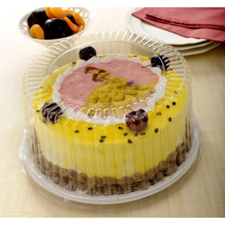 10 embalagem para bolo Torta Peq. Alta - 1,7kg Ref.: G 50MA (27,5x13,3 cm) galvanotek cor da base preta em Oferta na Shopee