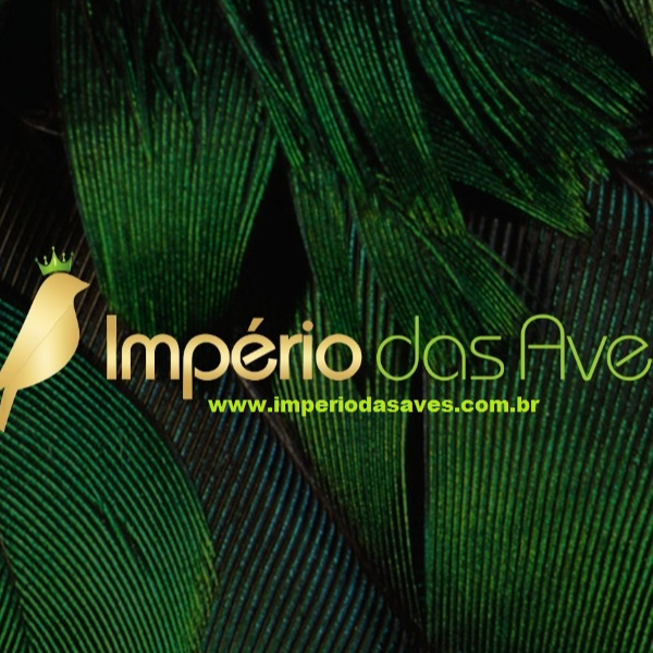 Império das Aves