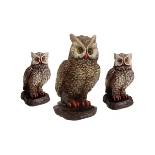 Coruja Kit 3 Peças Na Rocha Enfeite Decoração Estatueta Casa Escultura Espanta Pombo - Em Gesso