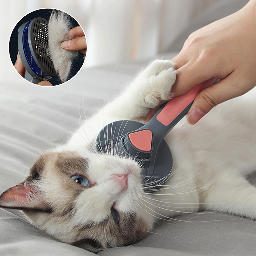 Escova removedor de pelo gato, sensacional para o seu Gato, ele vai te ...