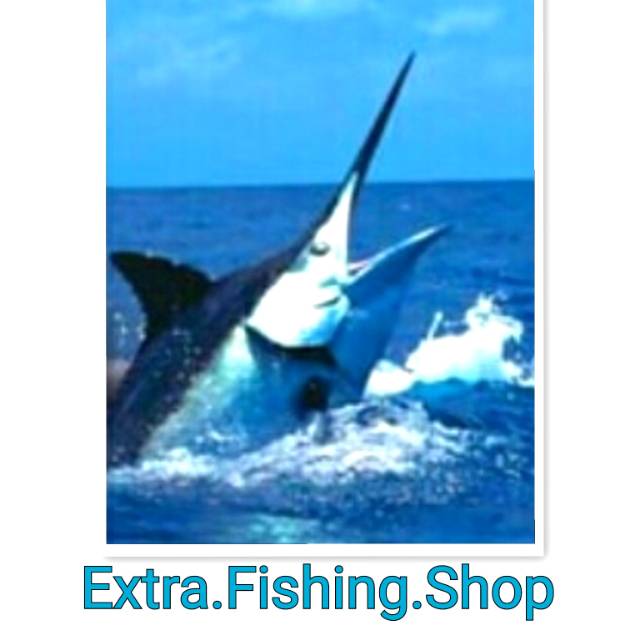 extrafishingshop.br