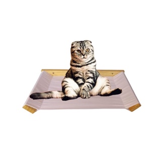 Cama Caminha Redinha Para Gato, Rede Suporte Suspenso de Parede Para Seu Gato Brincar