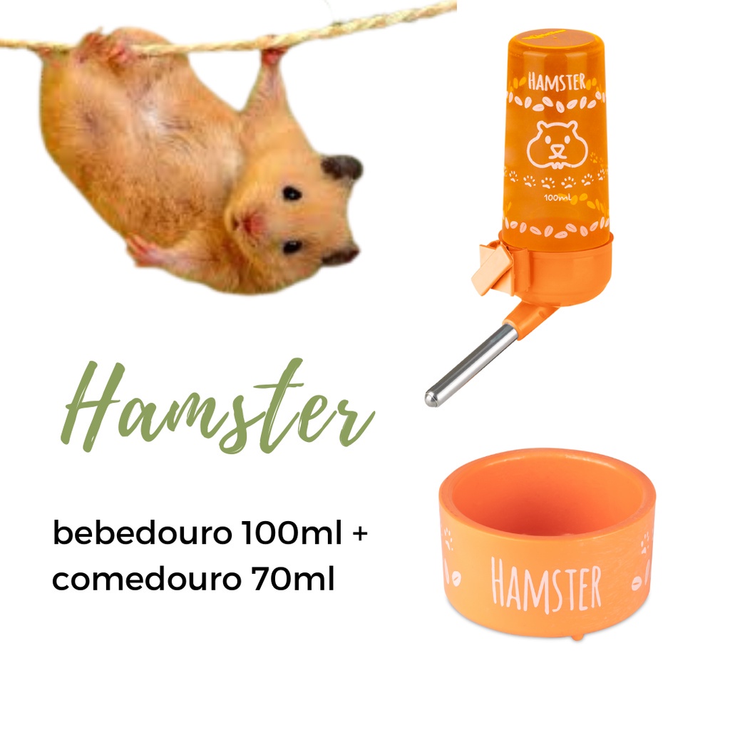 Kit Hamster Bebedouro Ml Comedouro Ml Laranja Shopee Brasil