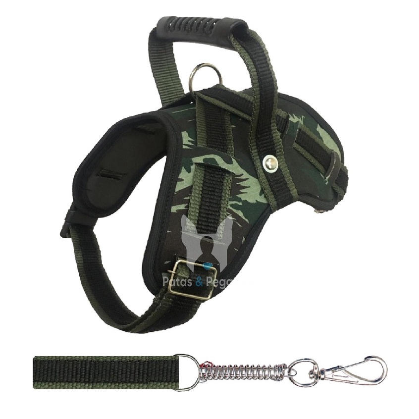 Dogue Brasileiro: Onde Comprar | BuscaProdutos