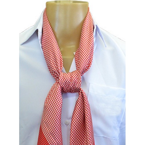 Lenço Gaúcho Estampa Carijó Ctg De Qualidade Pampa Pilcha 1m2 em Oferta na Shopee