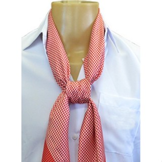 Lenço Gaúcho Estampa Carijó Ctg De Qualidade Pampa Pilcha 1m2 em Oferta na Shopee