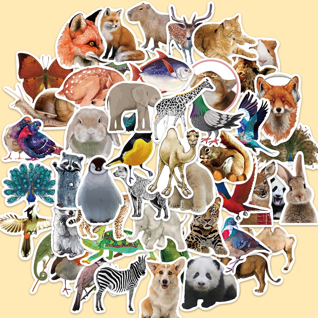 50pcs Adesivos Para Animais Da Selva Woodland Zoo Wildlife Livro De Bricolage Presente Telefone À Prova D'água Pacote De Carro Em PVC Crianças em Oferta na Shopee